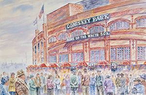 chicago whitesox artwork.  comisky park.  comisky park wall art.   historic baseball stadiums 